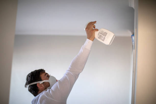 Best Local Mold Removal Service  in West Mifflin, PA